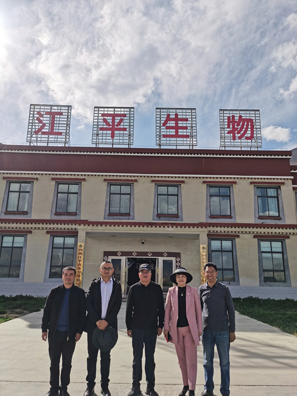 非凡国际(中国区)-官方网站