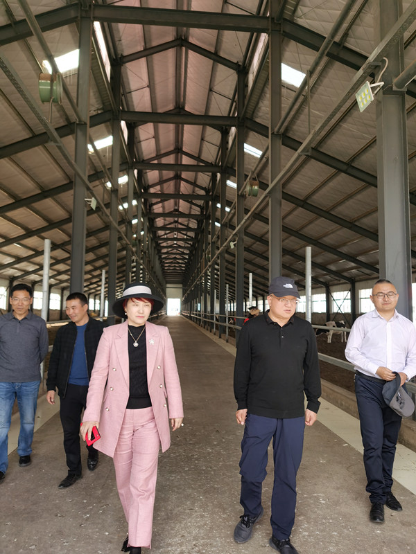 非凡国际(中国区)-官方网站