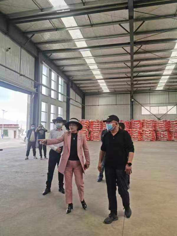 非凡国际(中国区)-官方网站