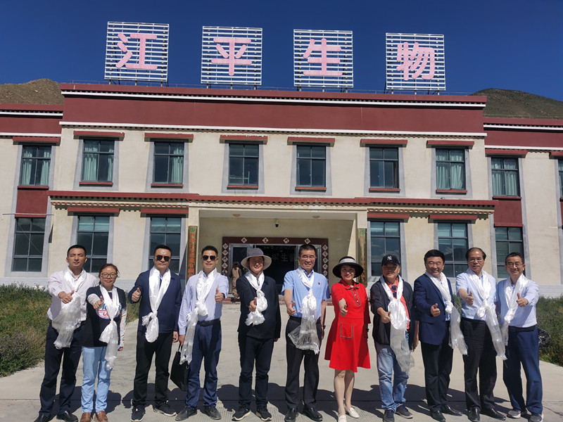 非凡国际(中国区)-官方网站
