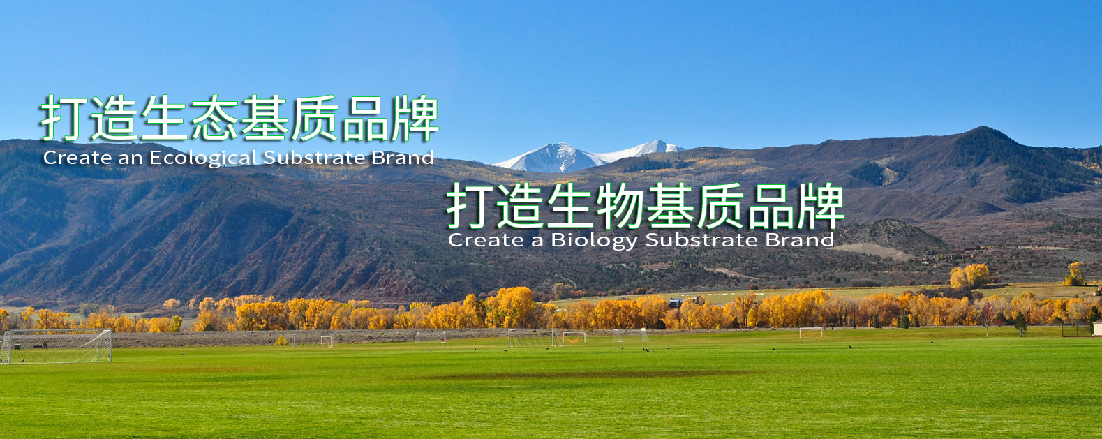 非凡国际(中国区)-官方网站