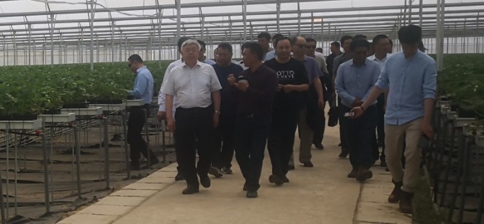 非凡国际(中国区)-官方网站