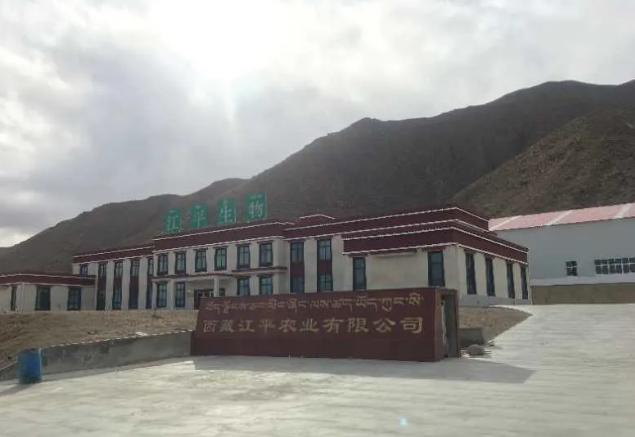 非凡国际(中国区)-官方网站