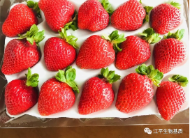 5f0c1ad008a7f.png 图片.png