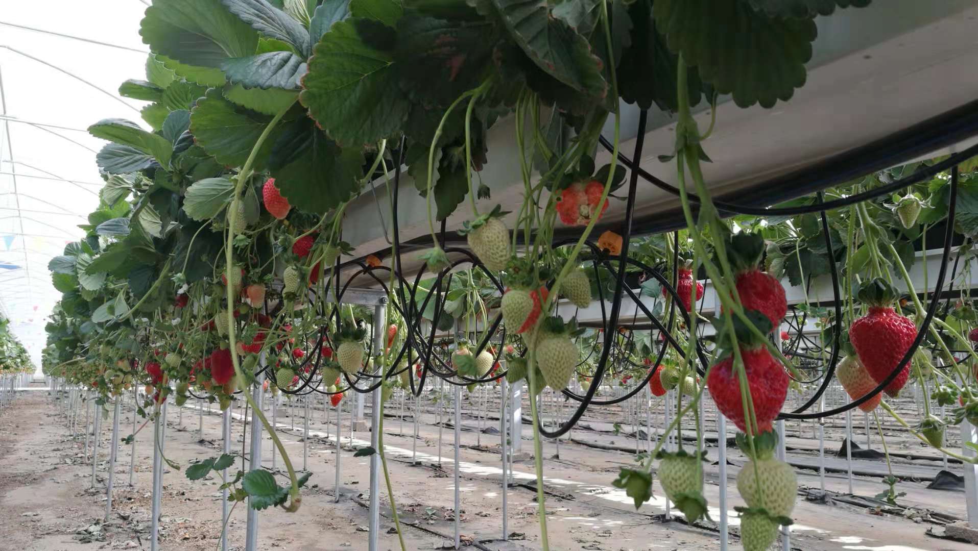 非凡国际(中国区)-官方网站
