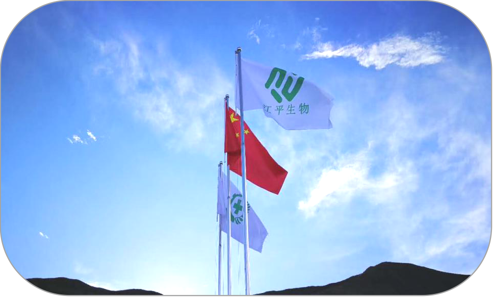 非凡国际(中国区)-官方网站