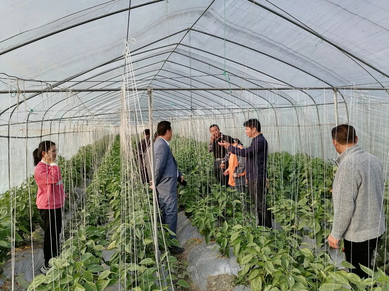 非凡国际(中国区)-官方网站