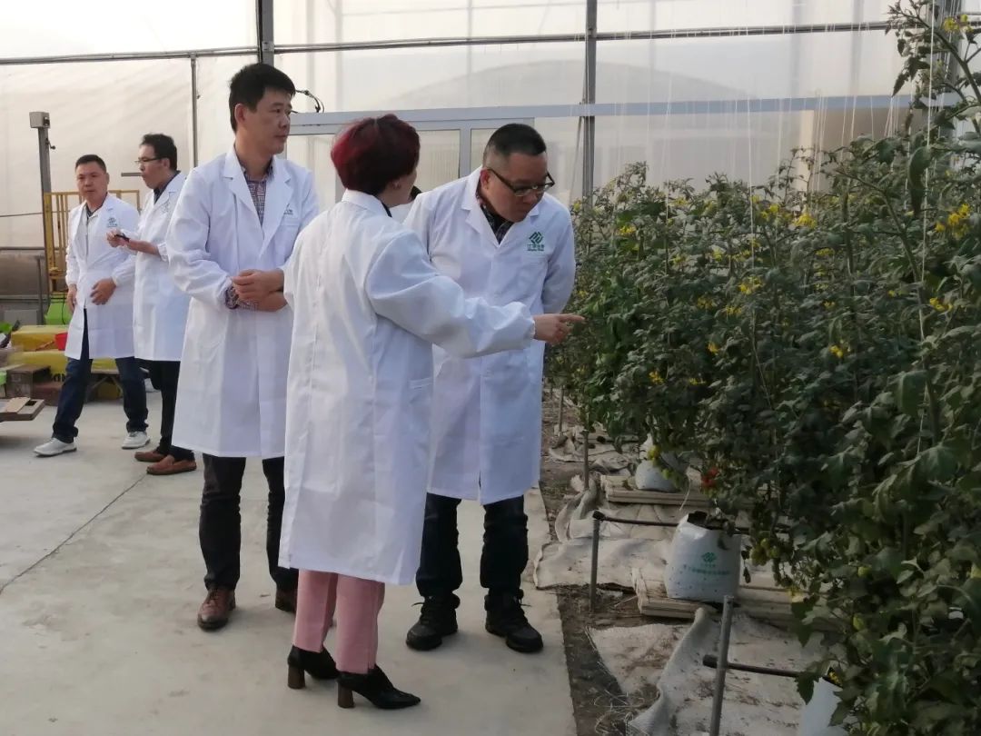 非凡国际(中国区)-官方网站