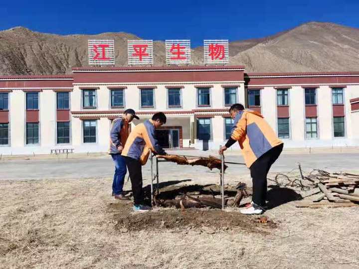 非凡国际(中国区)-官方网站