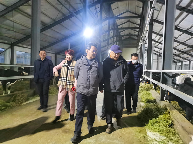 非凡国际(中国区)-官方网站
