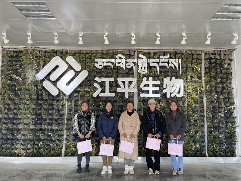 非凡国际(中国区)-官方网站